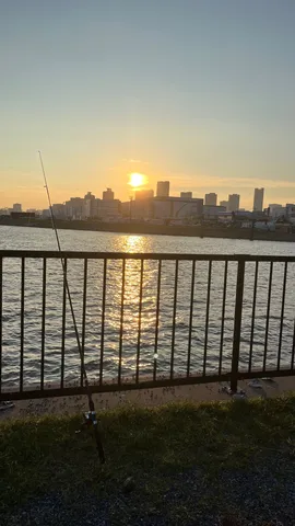 夕暮れ水辺の静かな一瞬