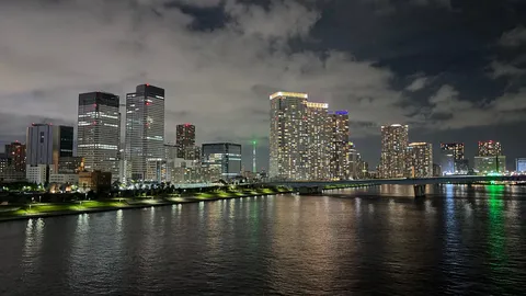 光の粒が描く夜の詩