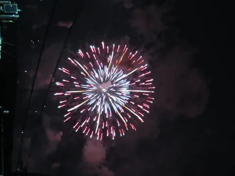 夜空を彩る華麗な花火