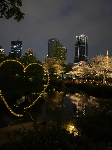 夜に咲く桜と煌めく心