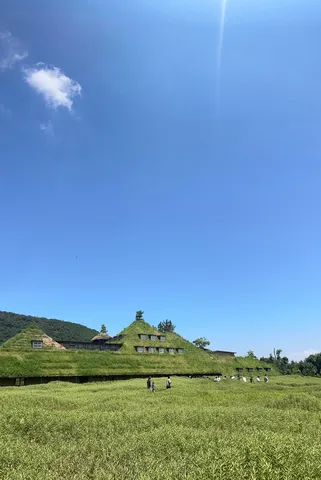 緑に埋もれる屋根の家
