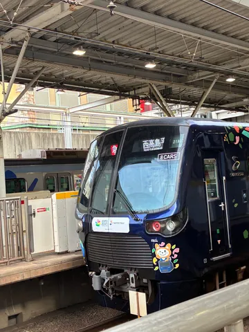 花と列車が描く夜の気配