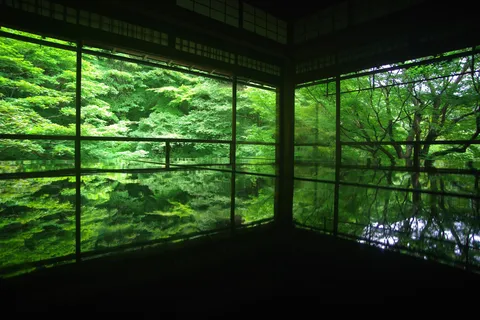 緑映る水鏡、静寂の空間
