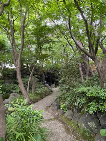 緑陰の小道、水音の誘い