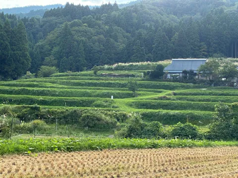 雲と田畑の静かな風景