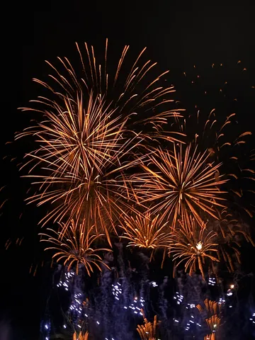 夜空を染める花火の群れ