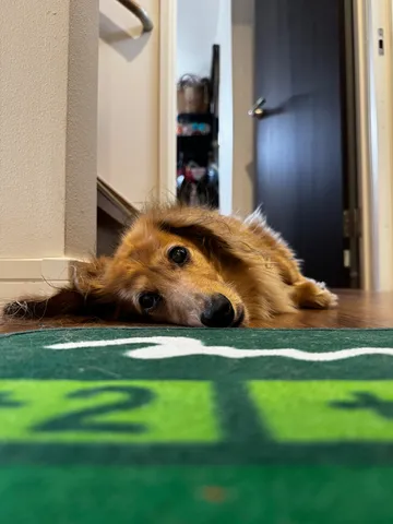 床の上の温かな眠り