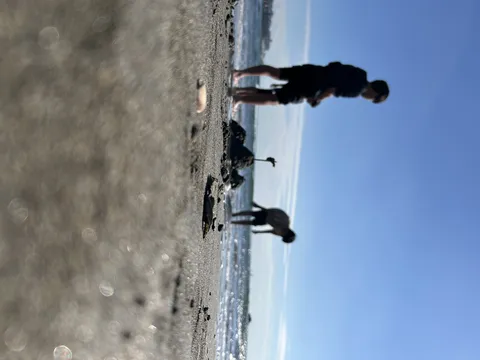 海辺のキラキラした休日