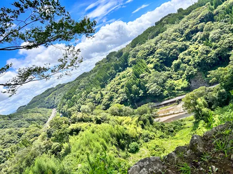 新緑の山路、清流の囁き