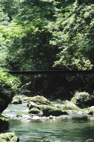 深緑の渓流、苔むす岩