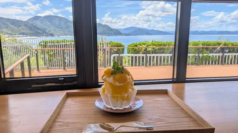 潮風とマンゴーの涼景
