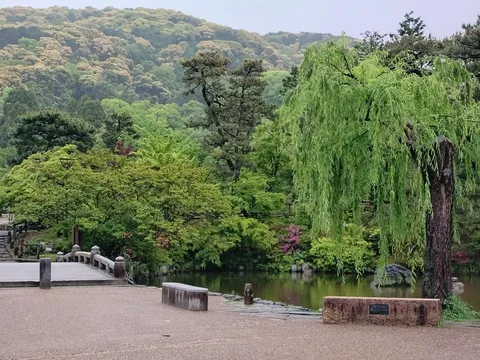 新緑に包まれた水辺