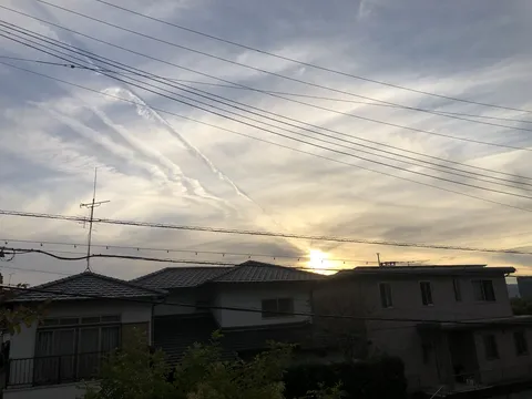 空を横切る電線と夕焼け