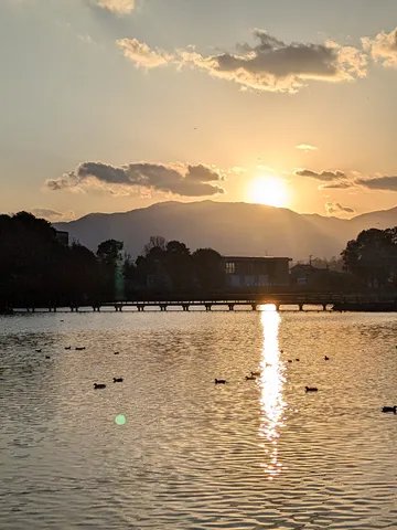 夕暮れの湖面に映る橋と鳥たち