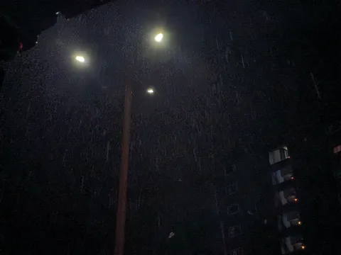 雨粒と街灯の夜