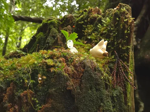 苔むした流木と小さな住人