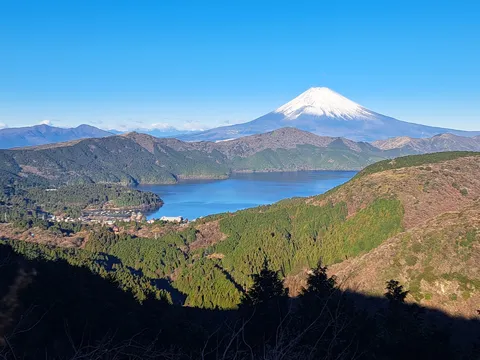 富士山 芦ノ湖を添えて