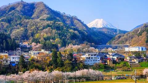 春の山里に雪峰の影