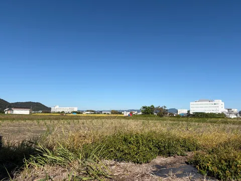 青空と草原の静かな広場