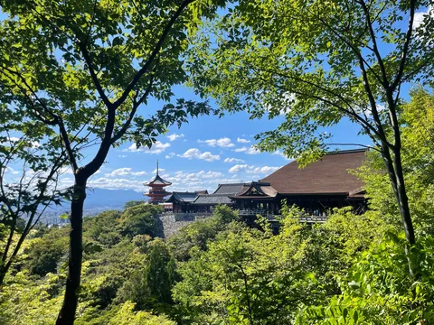 緑と古刹、時を重ねる風景