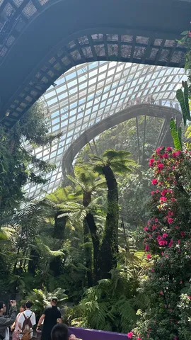 天空散歩と植物の息吹