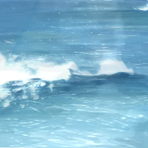 水面のきらめき、光の戯れ