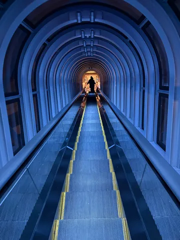 青の回廊、光の旅