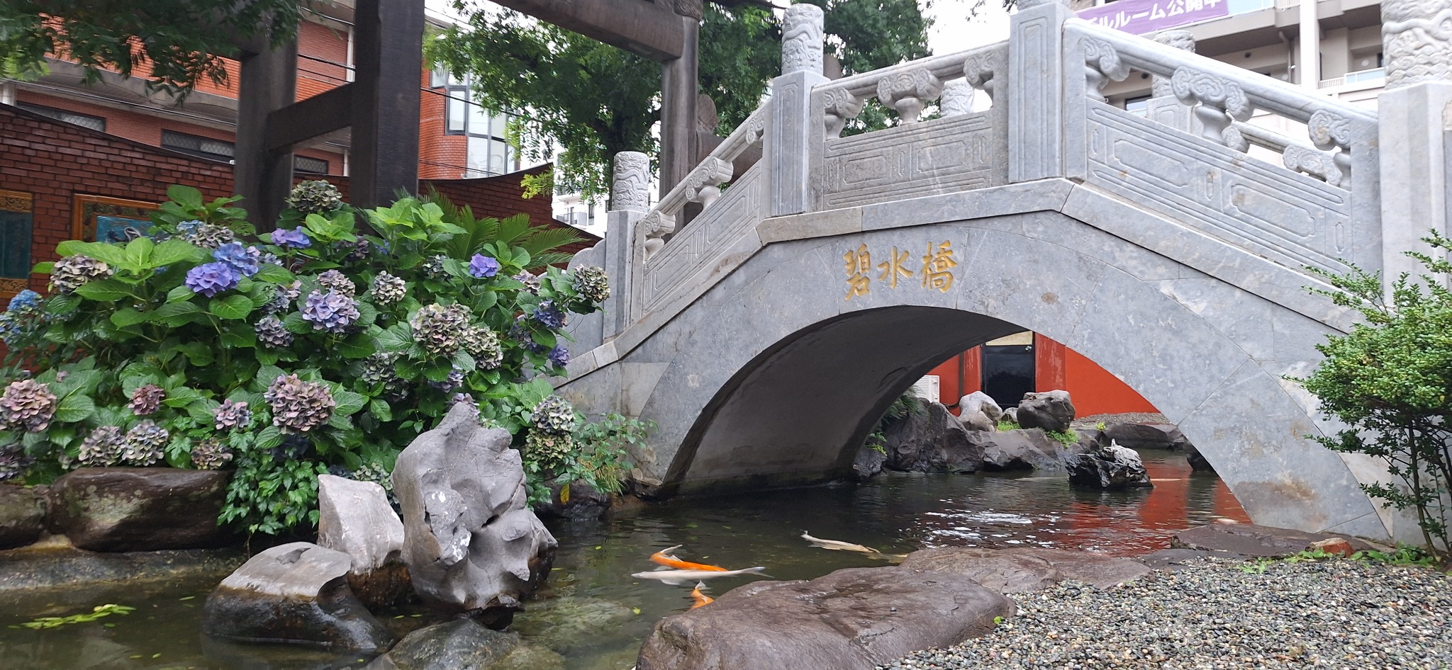 水面に映える鯉と紫陽花の和風庭園